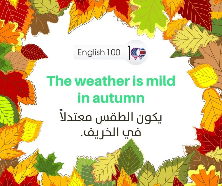 Meaning Of Fall In English