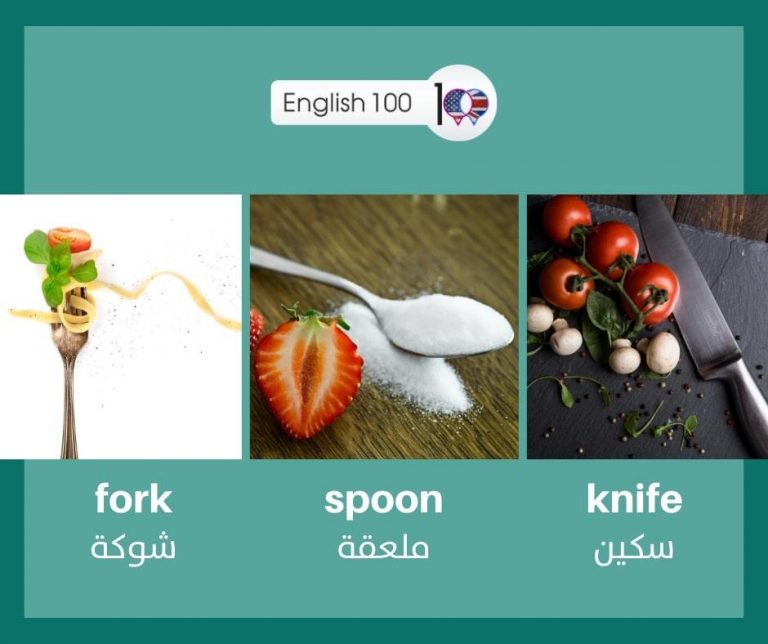 شوكة بالانجليزي الترجمة الصحيحة واللفظ وأهم المعاني الشائع استخدامها