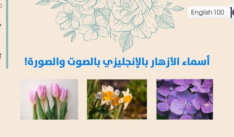 اسماء الازهار بالانجليزي بالصوت والصورة! اسماء الازهار بالانجليزي بالصوت والصورة!