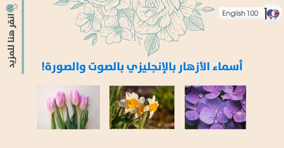 اسماء الازهار بالانجليزي Names of the flowers in English