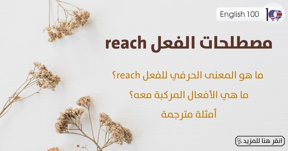 مصطلحات الفعل reach مع أمثلة reach-idioms-phrasal-verbs with examples