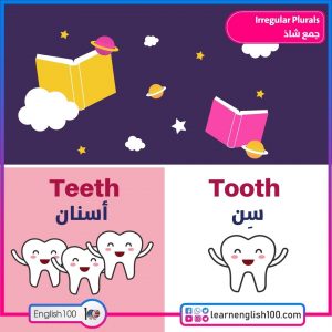 الجمع الشاذ Plural