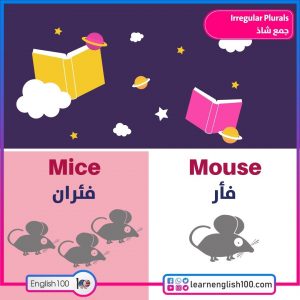 الجمع الشاذ Plural