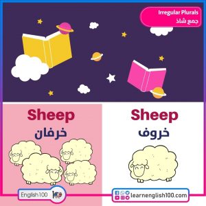 الجمع الشاذ Plural