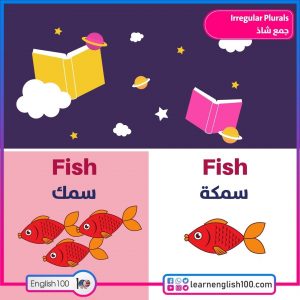 الجمع الشاذ Plural