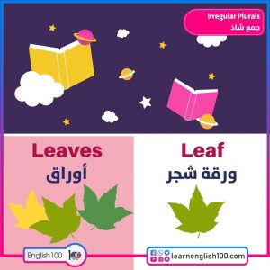 الجمع الشاذ Plural