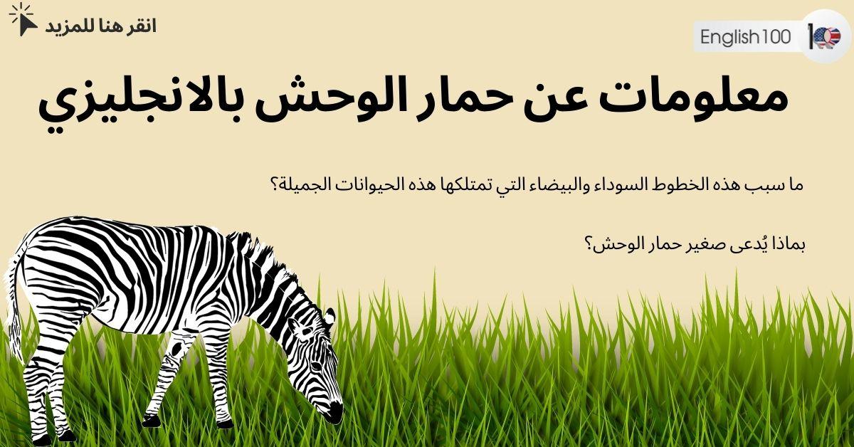 معلومات عن الحمار الوحشي بالانجليزي مع أمثلة Information about a zebra in English with examples