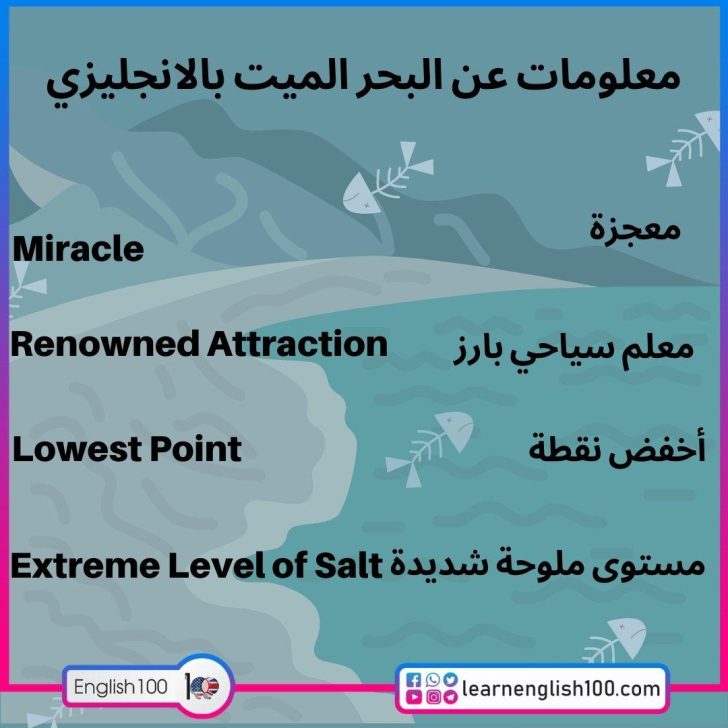 معلومات عن البحر الميت بالانجليزي ـ ستدهشك