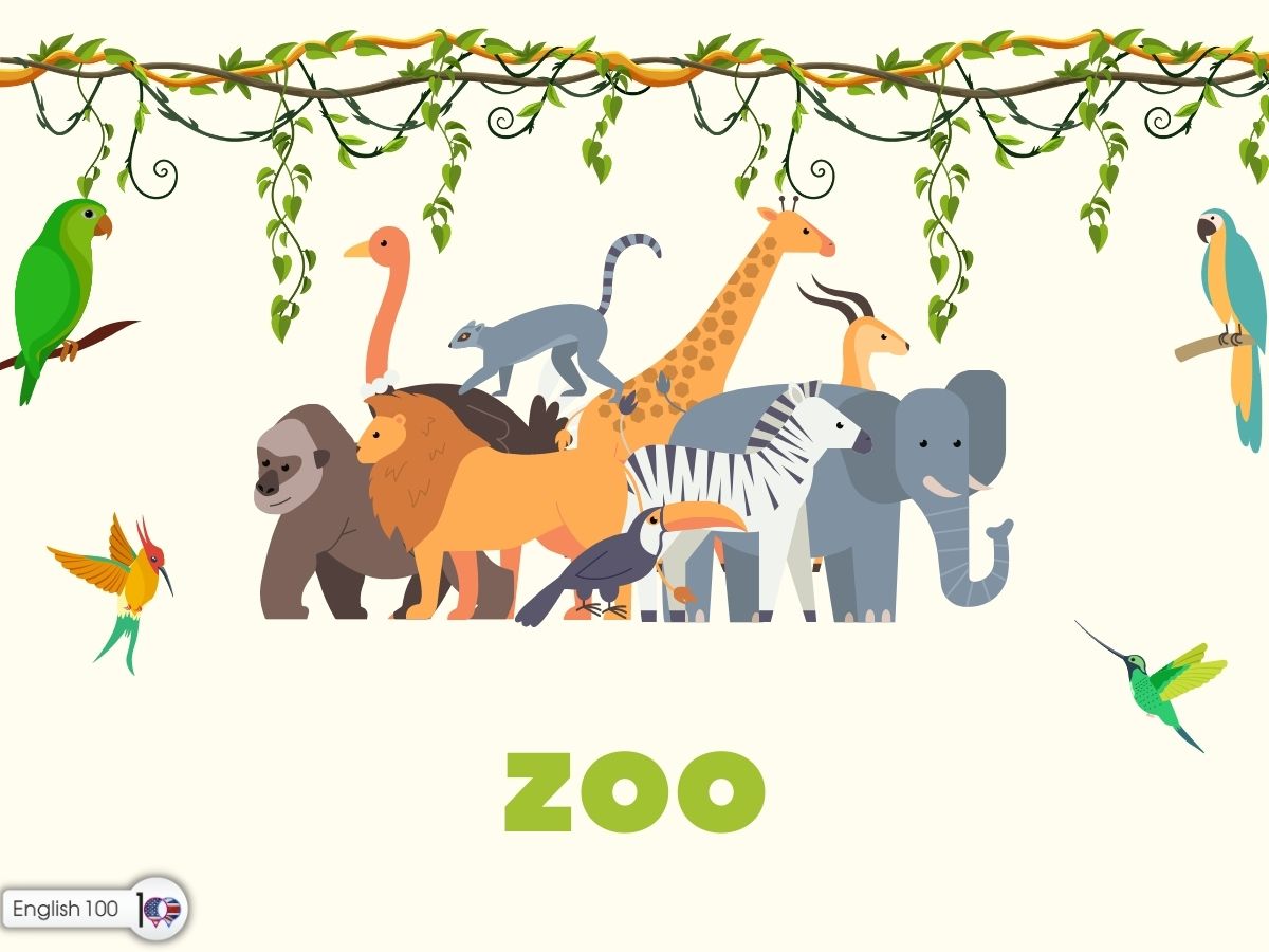 تعبير عن حديقة الحيوان بالانجليزي مع أمثلة، English Paragraph about Zoos with examples
