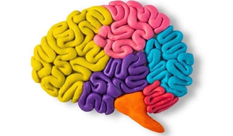 Left vs Right: Brain Games for Brain Training app – review Left vs Right: Brain Games for Brain Training app – review