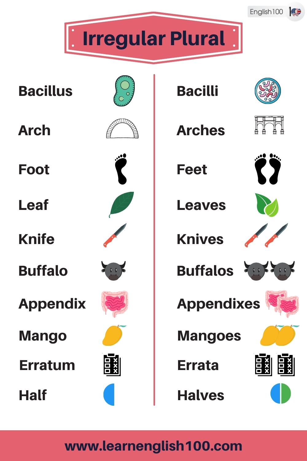 Plural Noun List in English  Plural nouns list, Plurals, Nouns