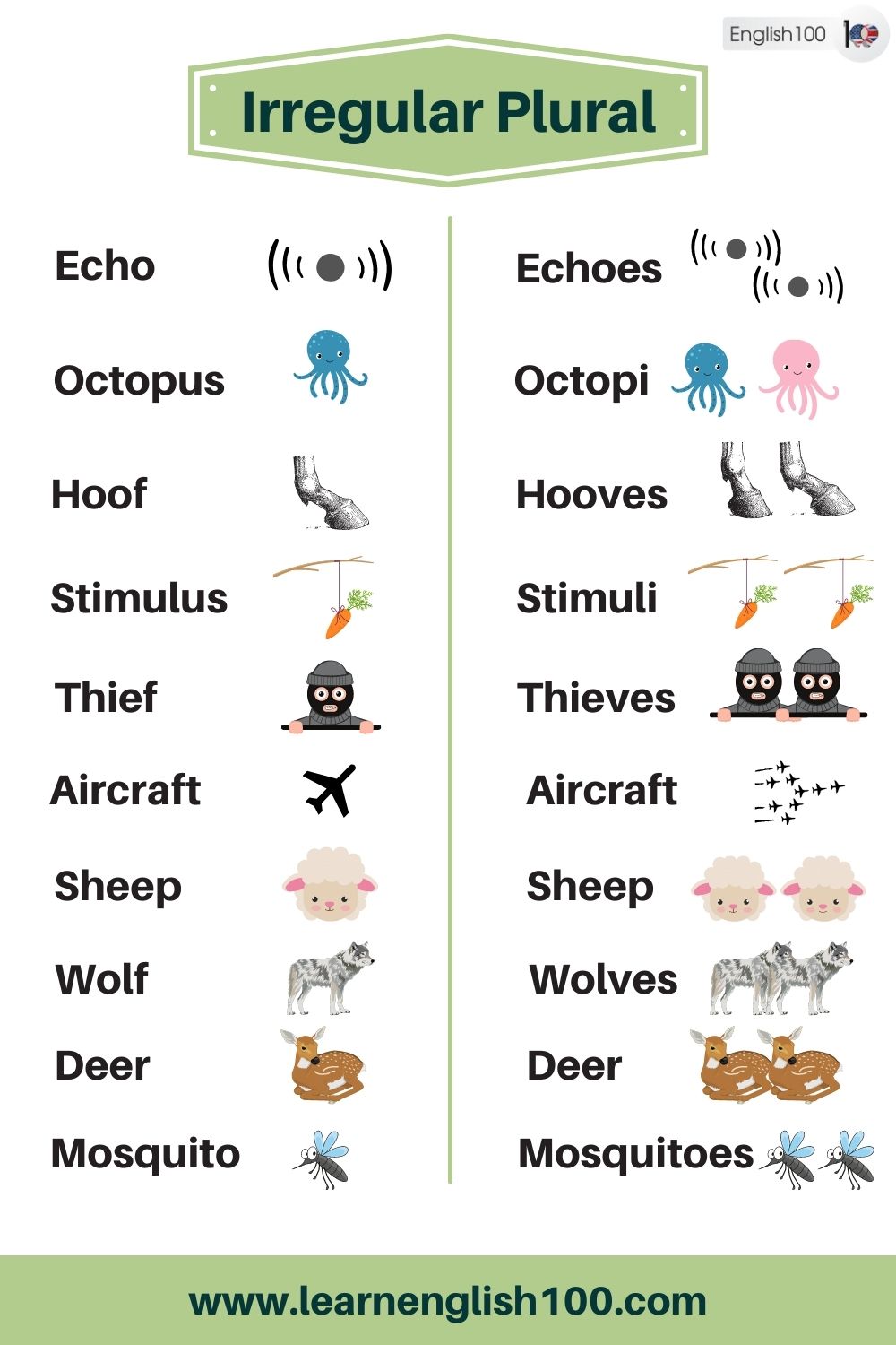 Plural Noun List in English  Plural nouns list, Plurals, Nouns