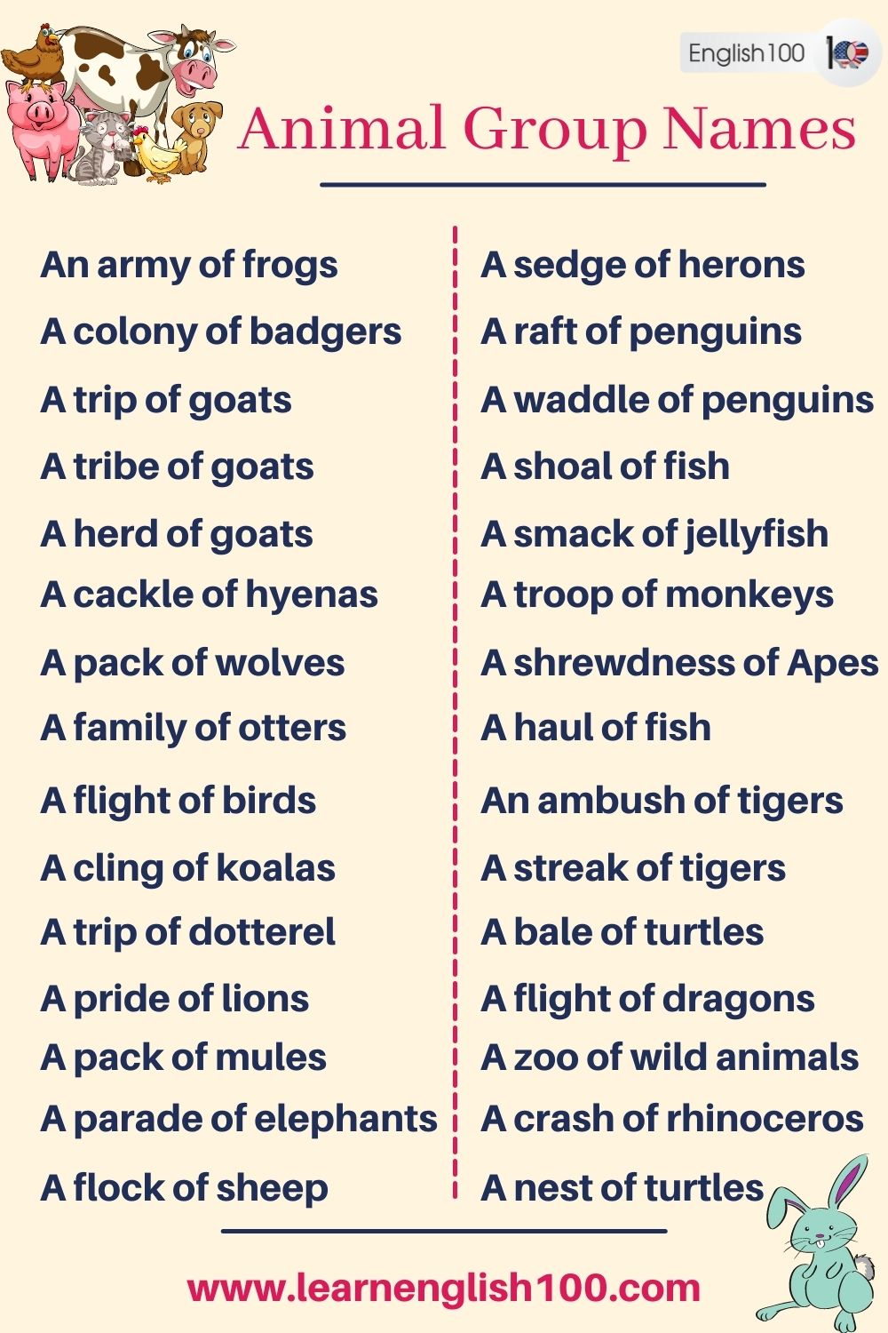 animal group names - English 100