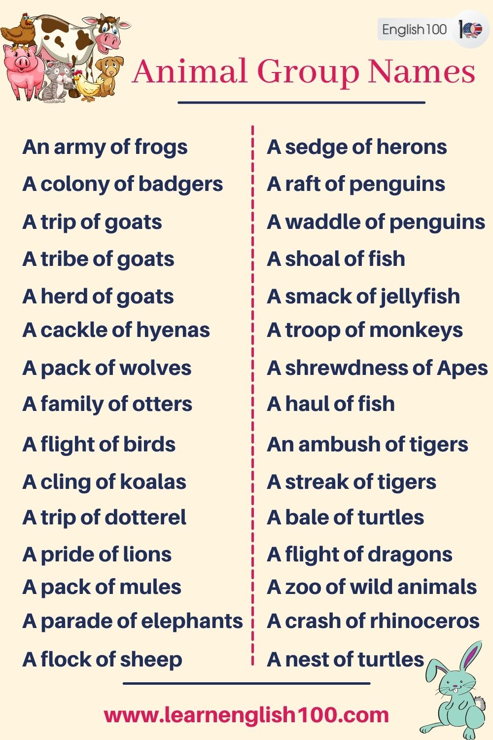 Common Animal Group Names