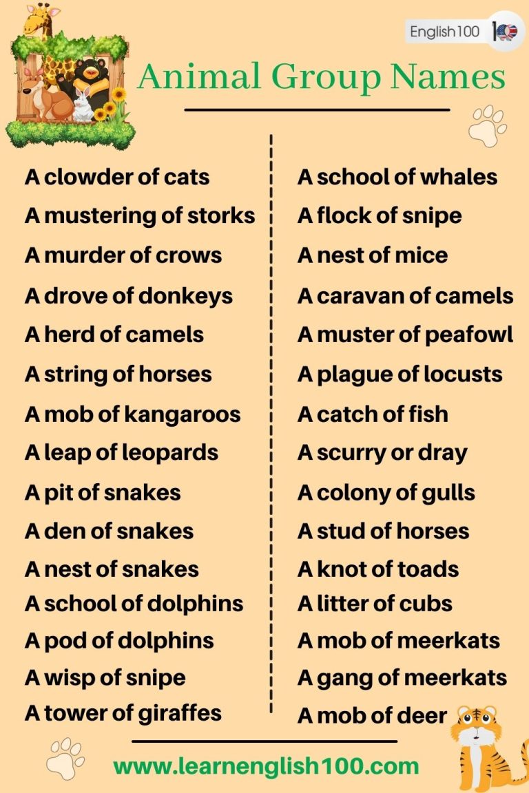 Animal Group Names: A Comprehensive Guide to the Fascinating World of ...