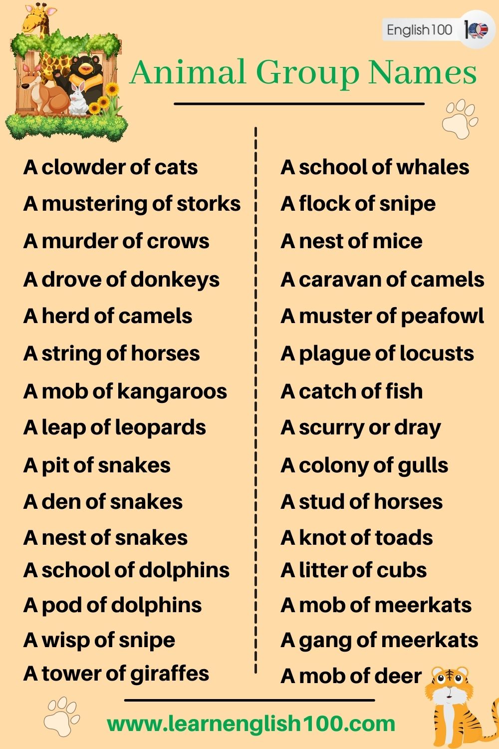 animal-group-names-english-100