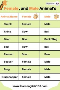 Female and Male Animals' Names in English! - English 100