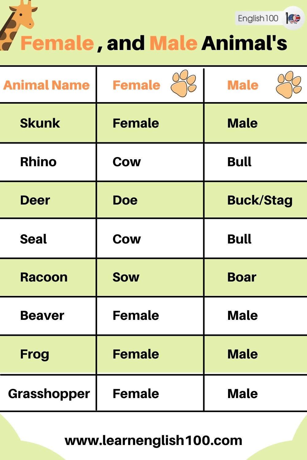 Female and Male Animals' Names in English! - English 100