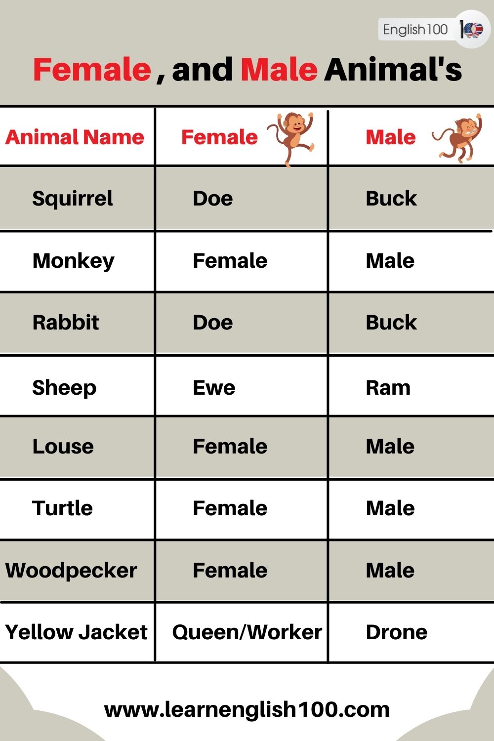Female, and Male Animals' Names - English 100