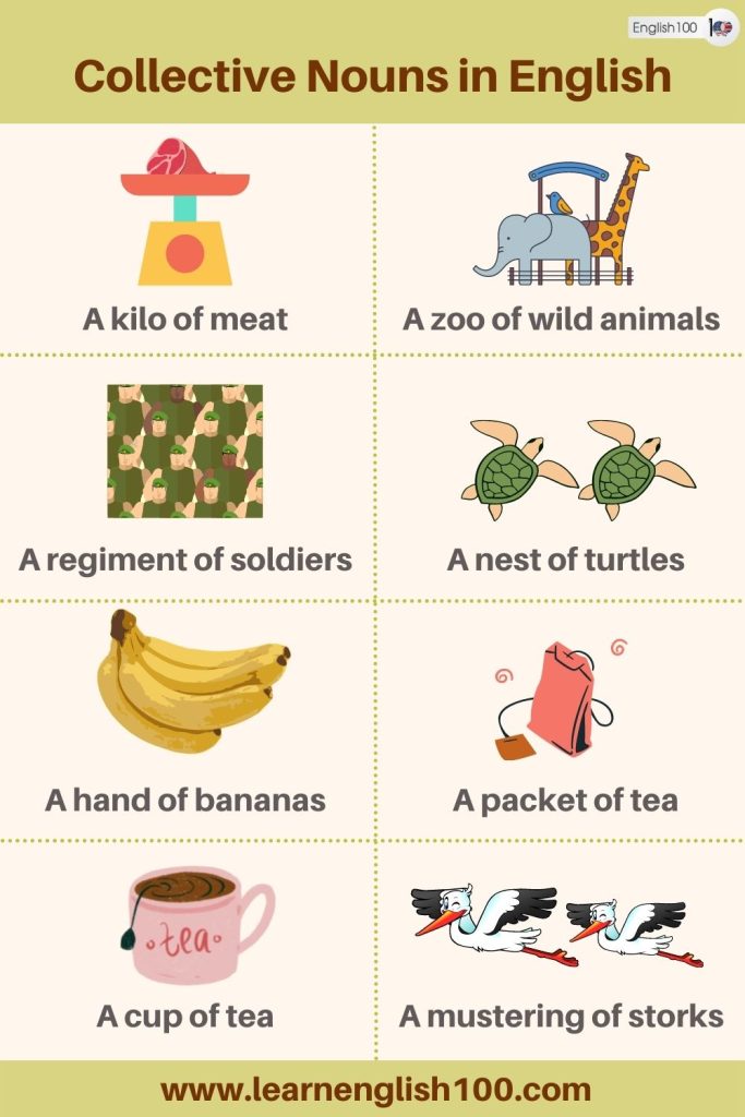 The Ultimate Guide To Collective Nouns in English: Everything You Need ...