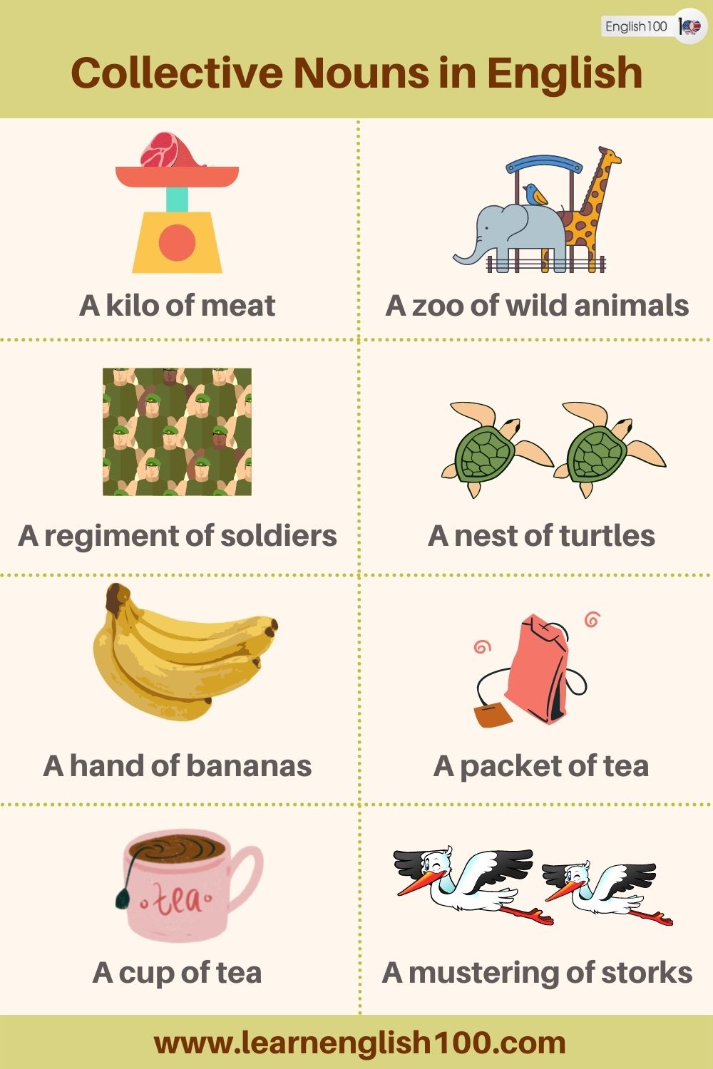 Collective Nouns in English