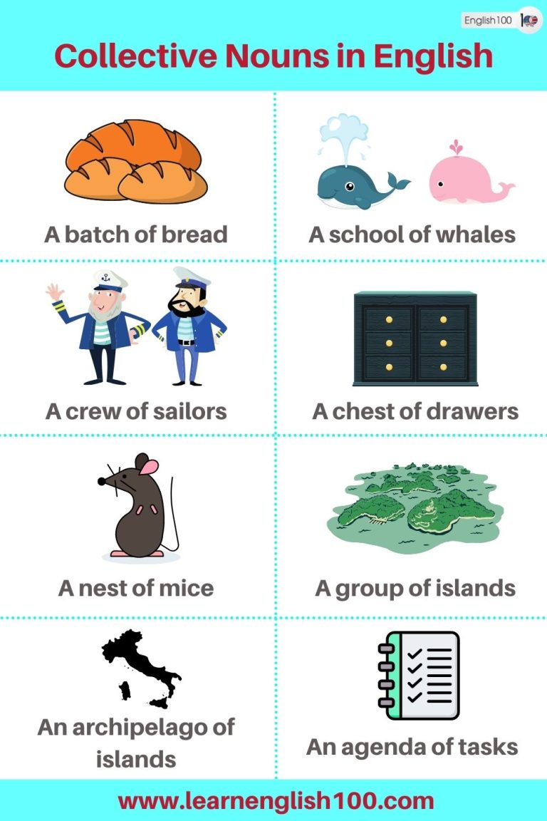 The Ultimate Guide To Collective Nouns in English: Everything You Need ...