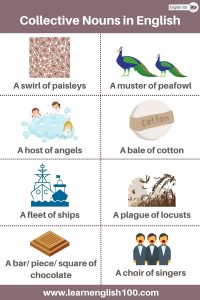 The Ultimate Guide To Collective Nouns in English: Everything You Need ...