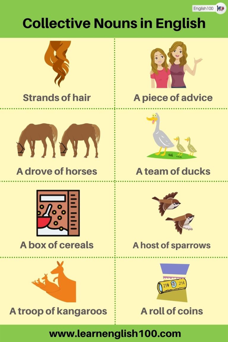 The Ultimate Guide To Collective Nouns in English: Everything You Need ...