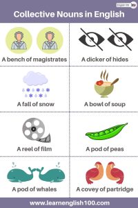 The Ultimate Guide To Collective Nouns in English: Everything You Need ...