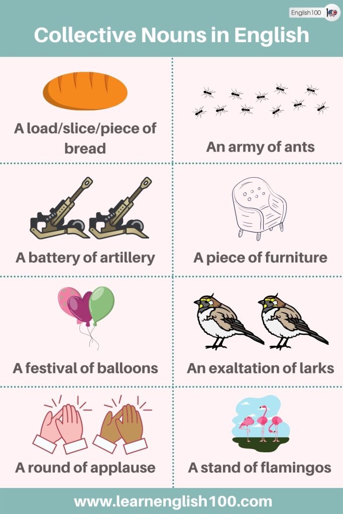 The Ultimate Guide To Collective Nouns in English: Everything You Need ...