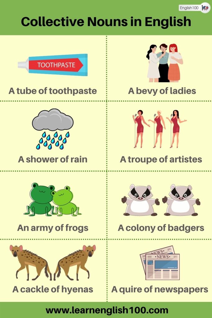 The Ultimate Guide To Collective Nouns In English Everything You Need To Know English 100 