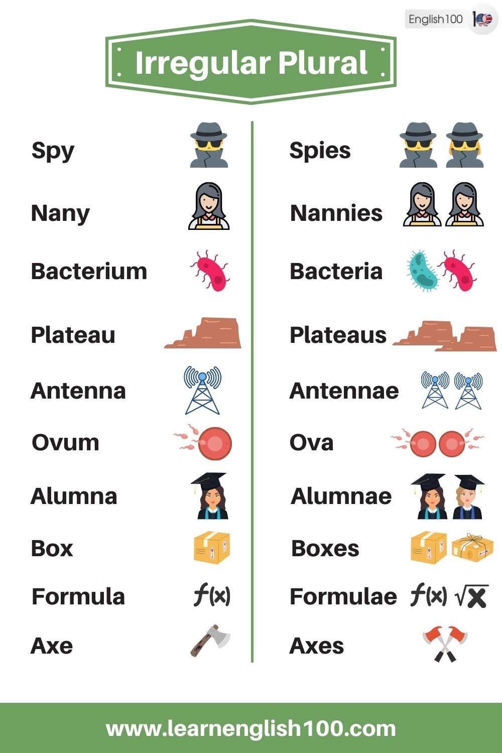 Irregular Plural