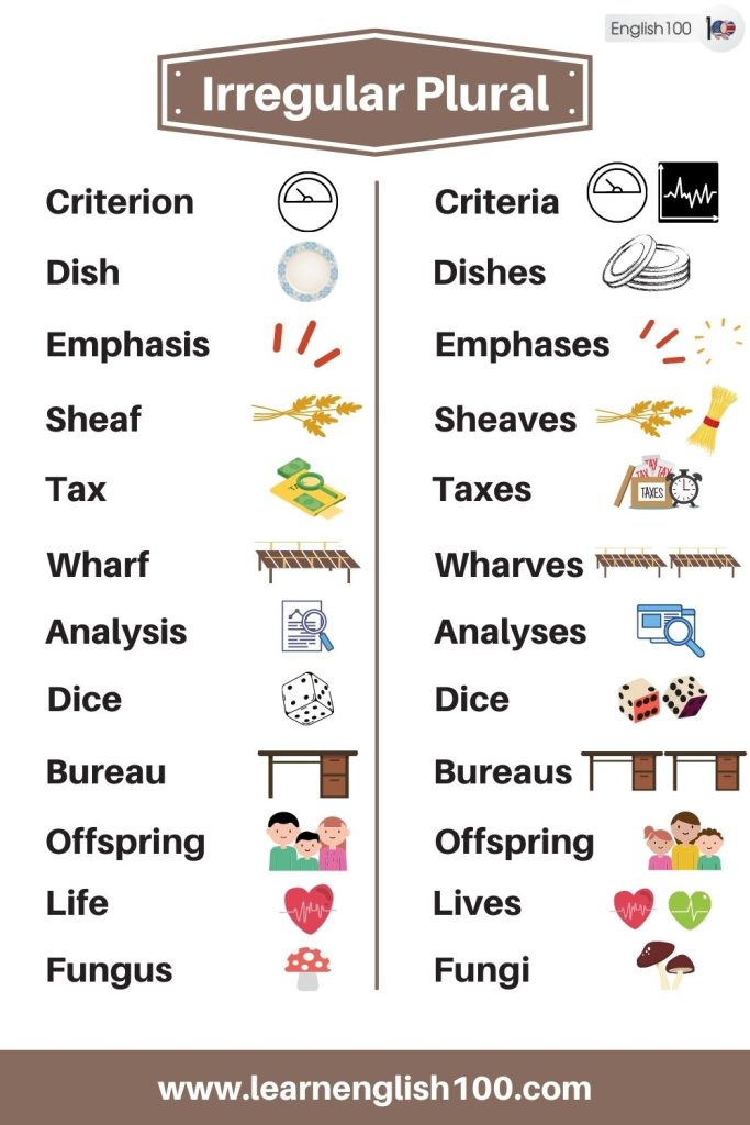 The List of Most Common Irregular Plural Nouns In English And Their ...