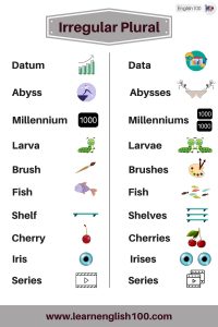 The List of Most Common Irregular Plural Nouns In English And Their ...