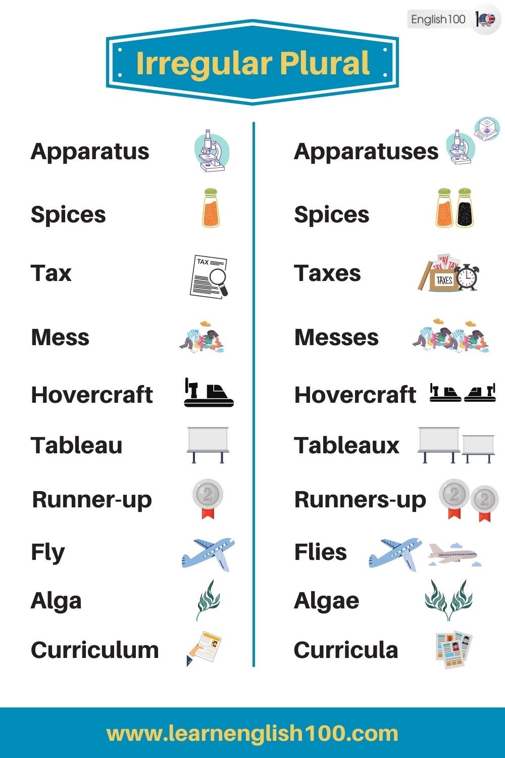 Irregular Plural